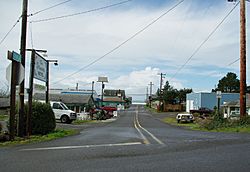 Crab Avenue - Netarts, Oregon.JPG