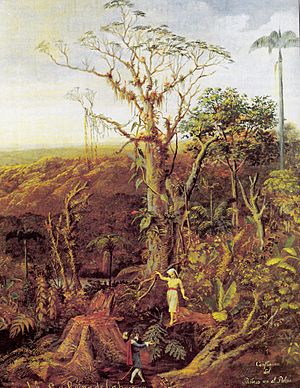 Archivo:Cumandá, la Reina de los bosques - Rafael Salas (siglo XIX)