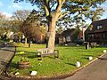 Elwick Village Green - geograph.org.uk - 279035