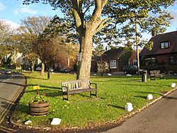 Elwick Village Green - geograph.org.uk - 279035.jpg