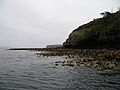 EnderbyIsland1