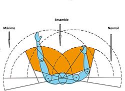 Archivo:Ergonomía. Áreas operativas de la simetría bilateral del cuerpo humano en planta -Iñaki Otsoa (sobre gráfico del libro de ergonomía de ESADM). CC. By. ShA $no-1