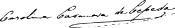 Firma de Carolina Casanova de Cepeda 1892.svg