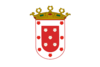 Flag of Santiago De Los Caballeros.png