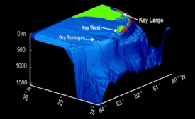Florida reef tract.png
