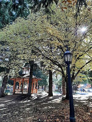 Archivo:Glorieta Plaza Sarmiento