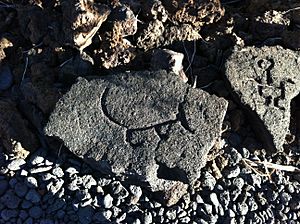 Archivo:Hawaiian petroglyph of a dog (8603570773)