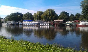 Archivo:Houseboats - Richmond, London, UK