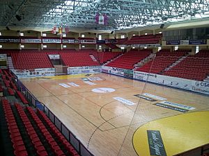 Archivo:Interior del Polideportivo Huerta del Rey (2011)