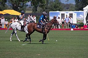 Archivo:Jaeger-LeCoultre Polo Masters 2013 - 31082013 - Match Legacy vs Jaeger-LeCoultre Veytay for the third place 44