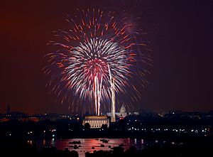Archivo:July 4th fireworks, Washington, D.C. (LOC)