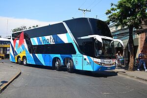 Archivo:Linatal 205