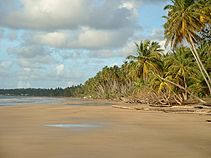 Archivo:Mayaro Beach; Trinidad & Tobago