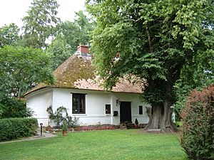 Archivo:Mennokate