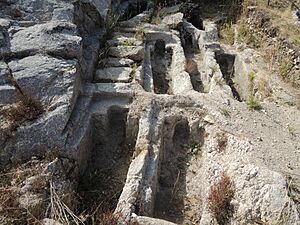 Archivo:Necrópolis rupestre de San Vitor de Barxacova (Parada de Sil) (7931227900)