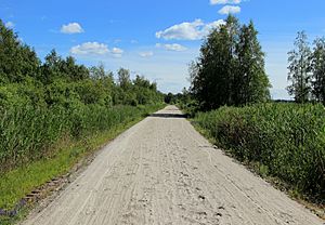 Archivo:Oritkarinranta Oulu 20140701