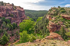 Paisaje protegido de los pinares de rodeno 01.jpg