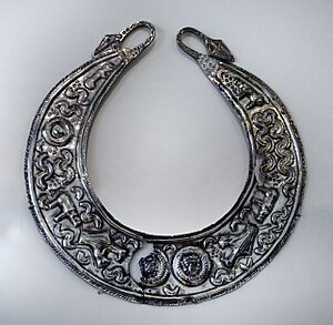 Archivo:Pectoral (38920965500)