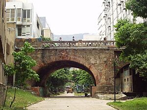 Archivo:PuenteAnauco2004-9-7