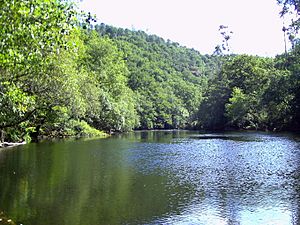 Archivo:Río Ulla, Boqueixón