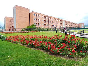 Archivo:Residenze UNISA