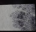 Resinoid crystal of manganese dioxide