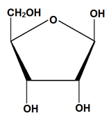 Ribosa estructura química.pgj