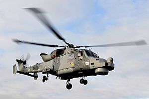 Royal Navy Wildcat Helicopter MOD 45158434.jpg