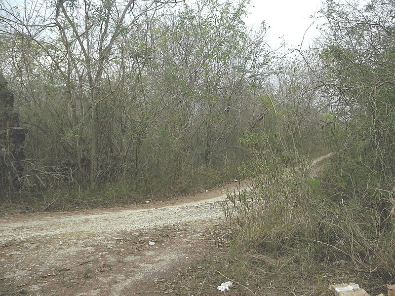 San Antonio Holcá, Yucatán (01)