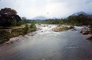 Archivo:San Juan River Honduras