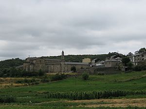 Archivo:San Martín de Castañeda