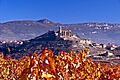 San Vicente-17307