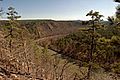 Southfourchelafaveriver arkansas 001