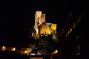 Archivo:Vista nocturna del Castillo de Almansa