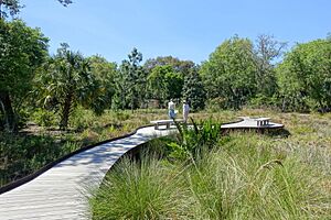 Archivo:Walkway - Bok Tower Gardens - DSC02095