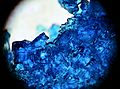 Сopper sulfate crystals IMG 6330обр 04