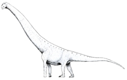 Archivo:Aegyptosaurus LM