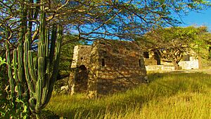 Archivo:Balashi Gold Mill Ruins 13