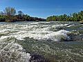 Beauzelle - La Garonne - 20110405 (1)
