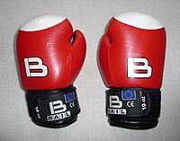 Archivo:Boxing gloves Bail 10-OZ (1)