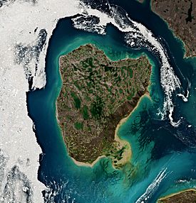 Bray Island 2020-07-25 Sentinel-2 L2A Highlight Optimized Natural Color.jpg