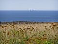 Brion Island 03