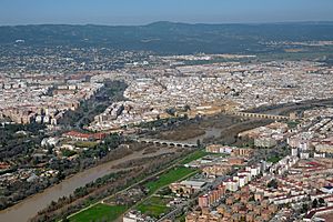Archivo:Córdoba aerial 9