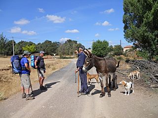 Camino Portugués de la Vía de la Plata (6097312948).jpg
