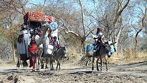 Archivo:Caravane des nomades10