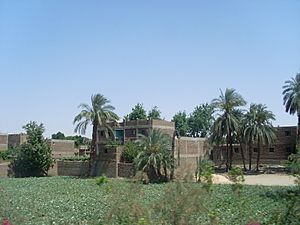 Archivo:Casas, Valle del Nilo, Egipto, abril de 2009