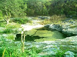 Archivo:Cenote Chen Ha (08)