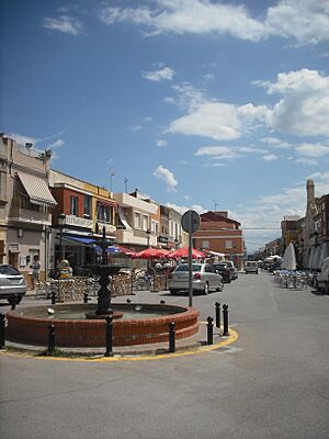 Archivo:El Palmar. Plaça de la Sequiota 1