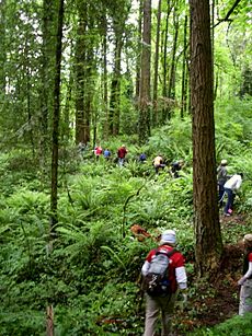 Archivo:Forest park volunteers rerouting wildwood trail P2841