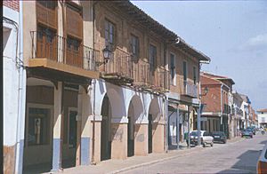 Archivo:Fundación Joaquín Díaz - Vista panorámica - Villalón de Campos (Valladolid)